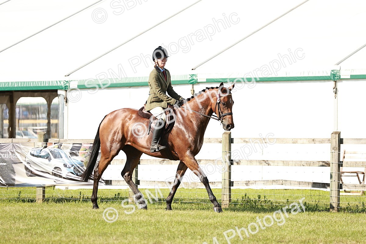 SBM_19224 - Class 115-116 - LIHS BSHA Rising Star Working Hunter & Show Horse