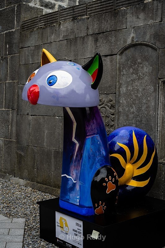  - Kilkenny Catwalk