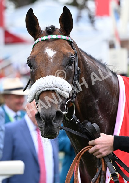 230825-051 Tarriance - Race 2 2.25pm Sky Bet Melrose Handicap