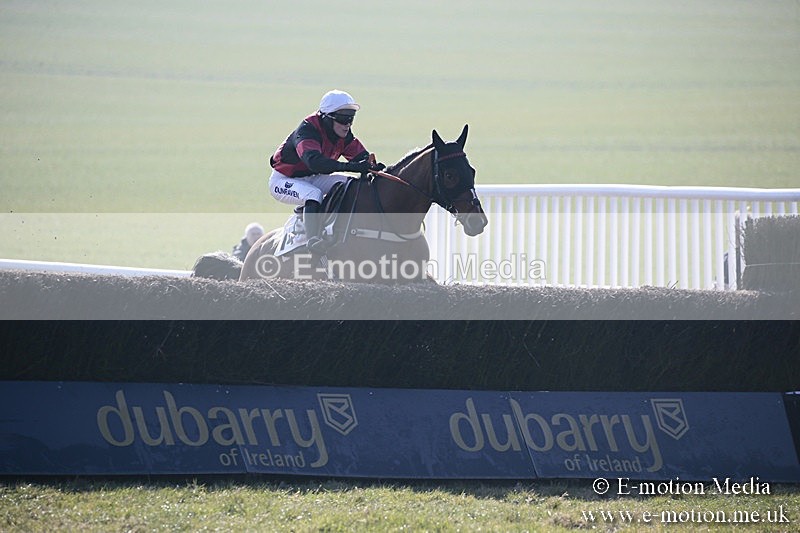 PtP 240218 41 - Vine & Craven Hunt Point-to-Point Barbury racecourse 24/02/18