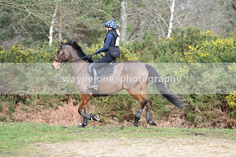 WJ7_8163 - Time 11:09 to 11:38