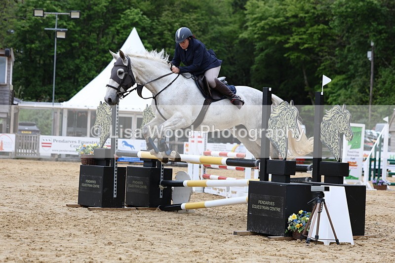3E7A6071 - Class 4: Senior British Novice/90cm open