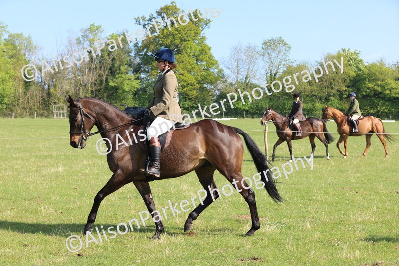 20250427-0525 - Class 17 - Novice Showing