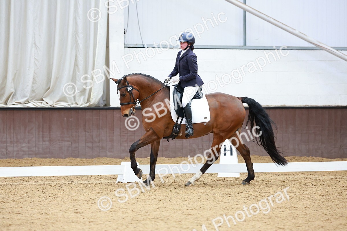 SBM_003459 - Class 15-16-18 - Novice 3-Elementary 1-PYO