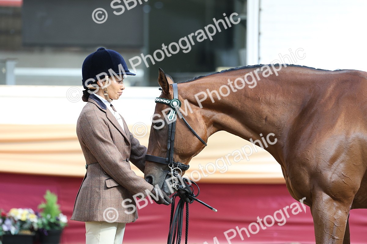 SBM_23397 - Class 903 - Supreme Final - IH Pre Vet