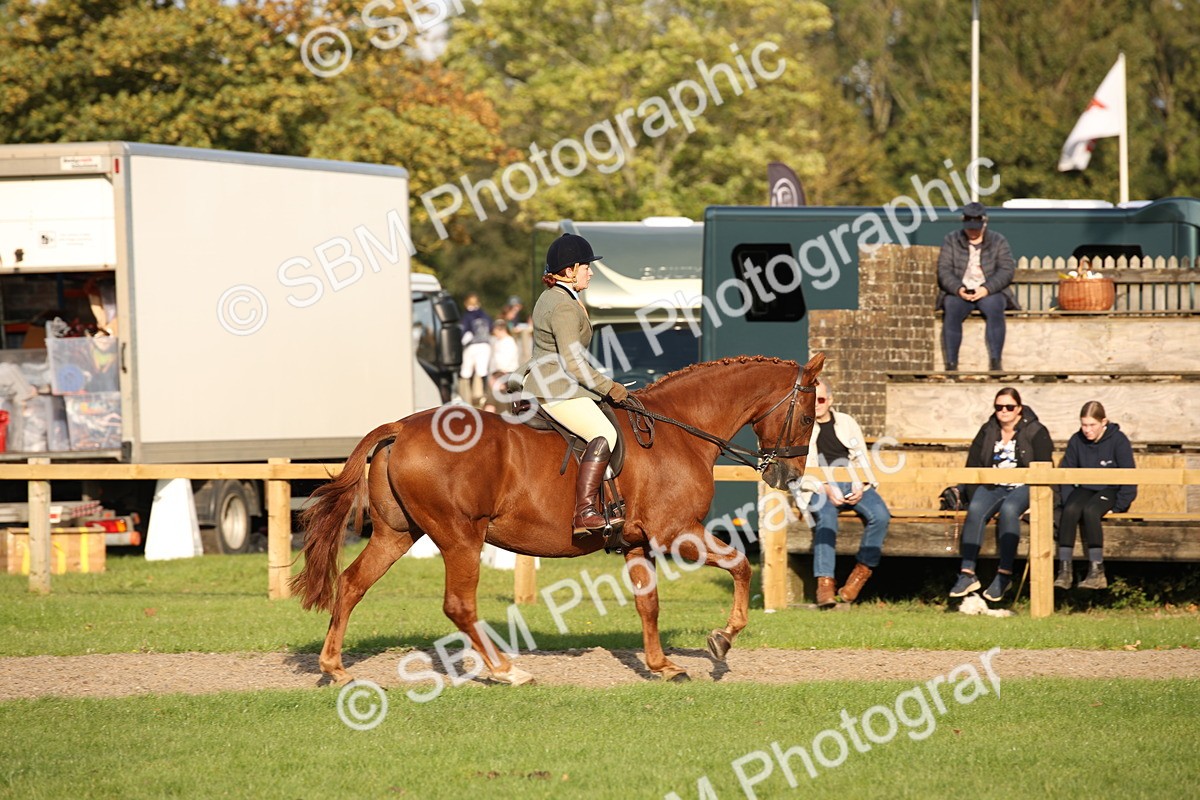 SBM_54313 - S27 - Mature Veteran - Ridden