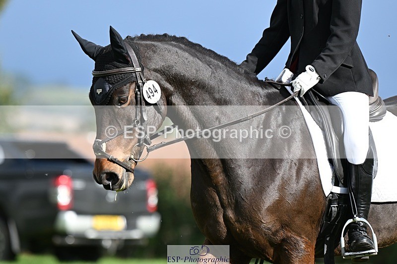 231020-140614-10549 - 494-WEST.FIELD.REBEL-Laura.Bilham-DR