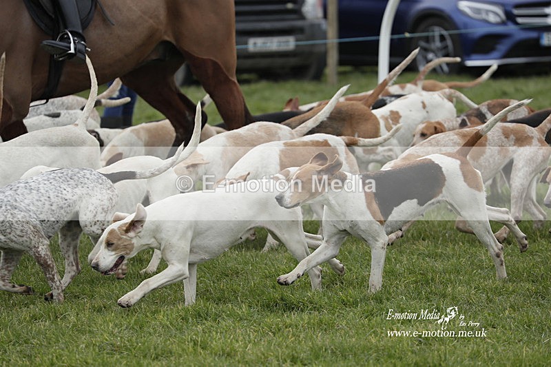PtP 050323 522 - Blackmore & Sparkford Vale Hunt PtP - Somerset 05/03/23