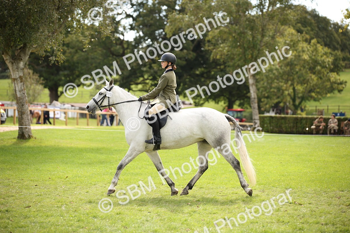 SBM_42322 - S13 - Pony Club Pony