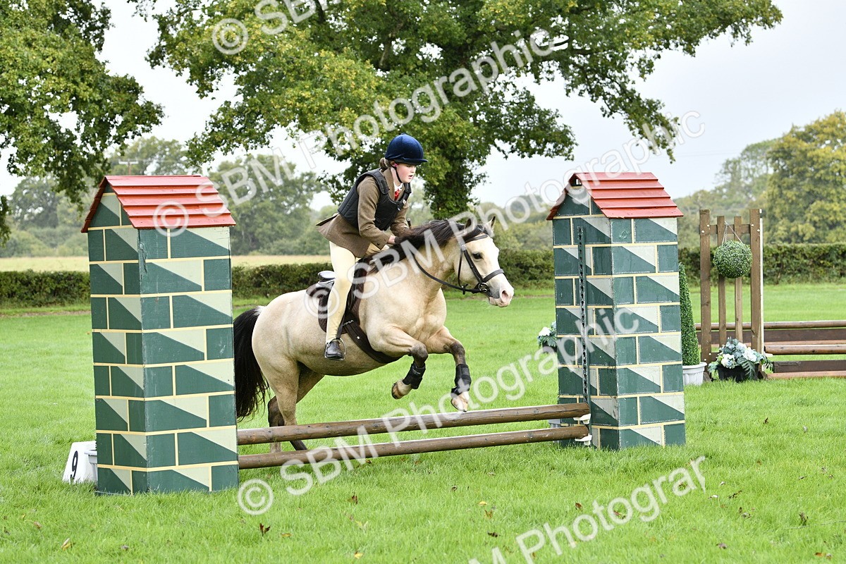 SBM_35419 - S30 - Nursery Stakes Working Hunter Pony