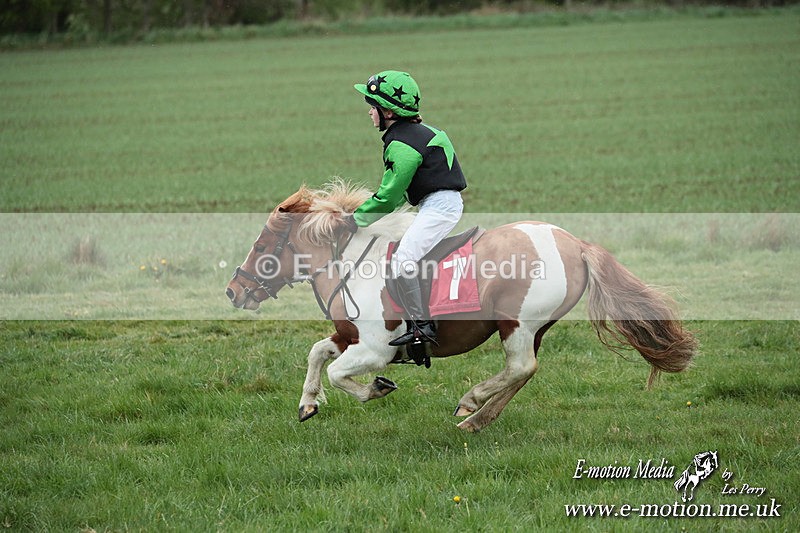 SHETPR 210425 234 - Shetland Ponies Paxford Races 21/04/25