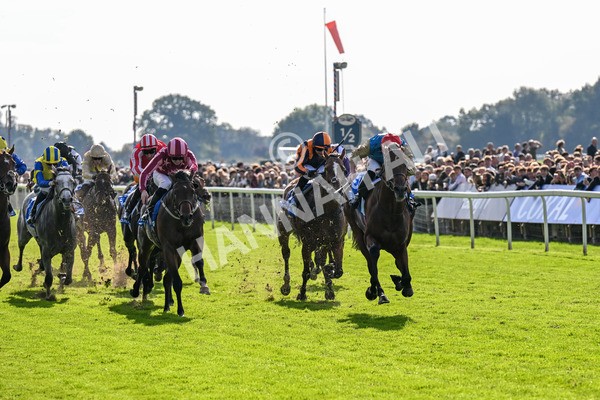 111025-Race 1-Division-0173 - Race 1 Coral Rockingham Stakes at York