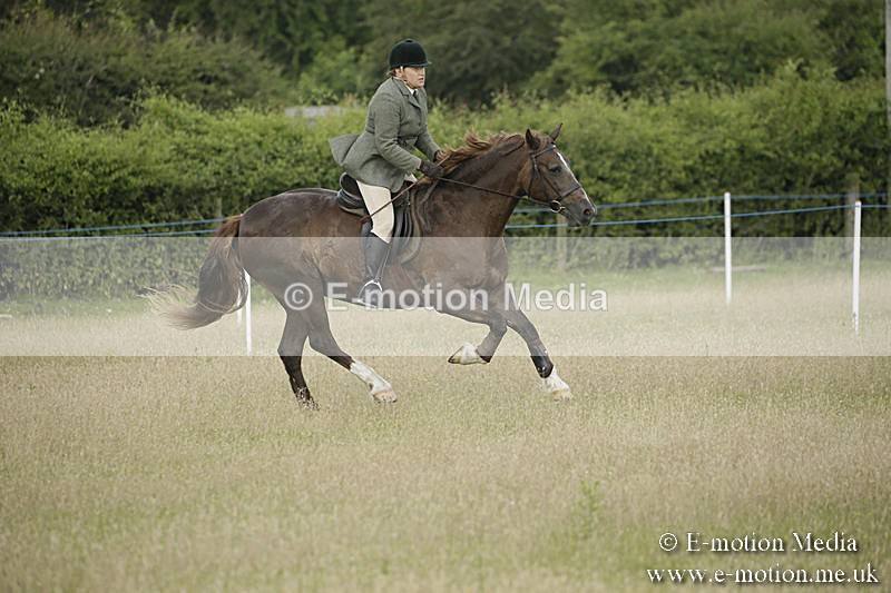 B230619-0181 - Bourne Valley Riding Club Summer Show 23/06/19