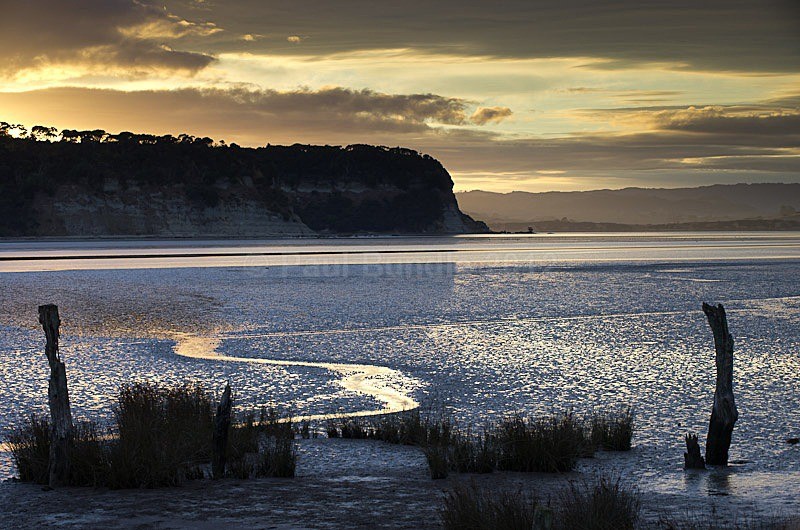 Kawhia Harbour sunrise - New Zealand North Island