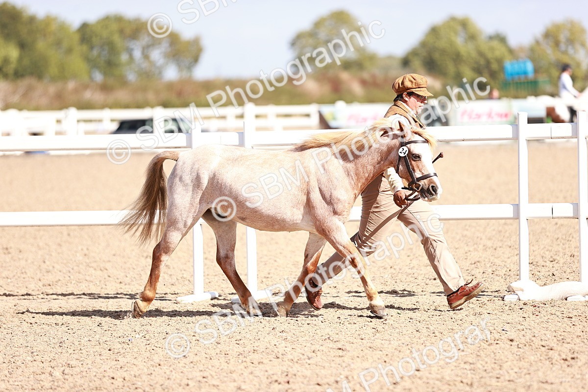 SBM_22886 - Class 706 - IH Veteran