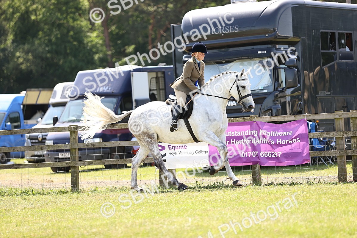 SBM_16220 - Class 79-80 - LIHS BSHA Rising Star Ridden Hunter