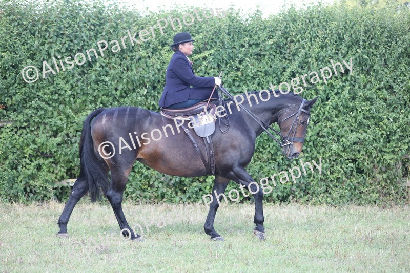 20250831-0966 - Class 15 - Ridden Veteran