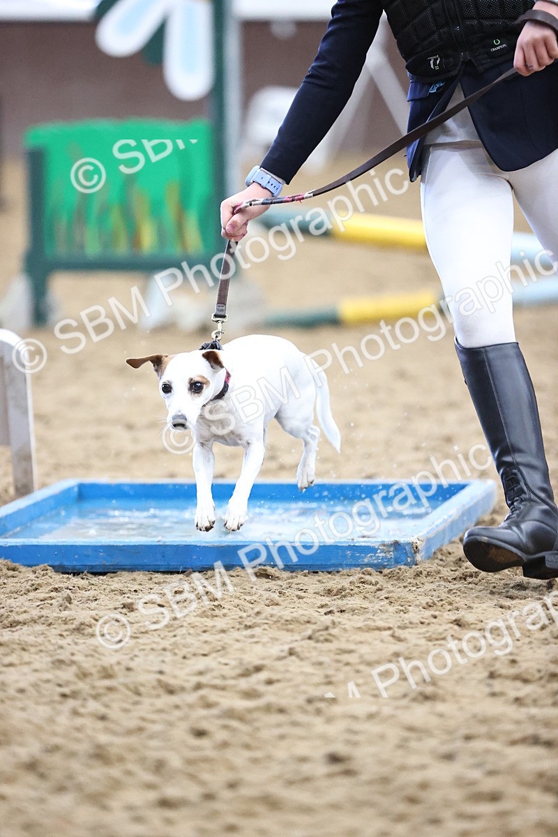 SBM_001575 - Class 3 - Horse & Hound 60cm