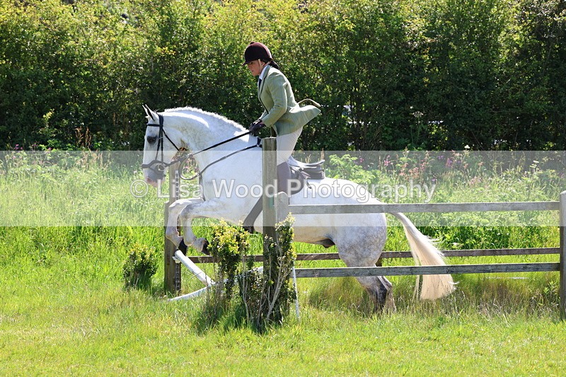 3E7A6911 - Class 30: Novice Working Hunter