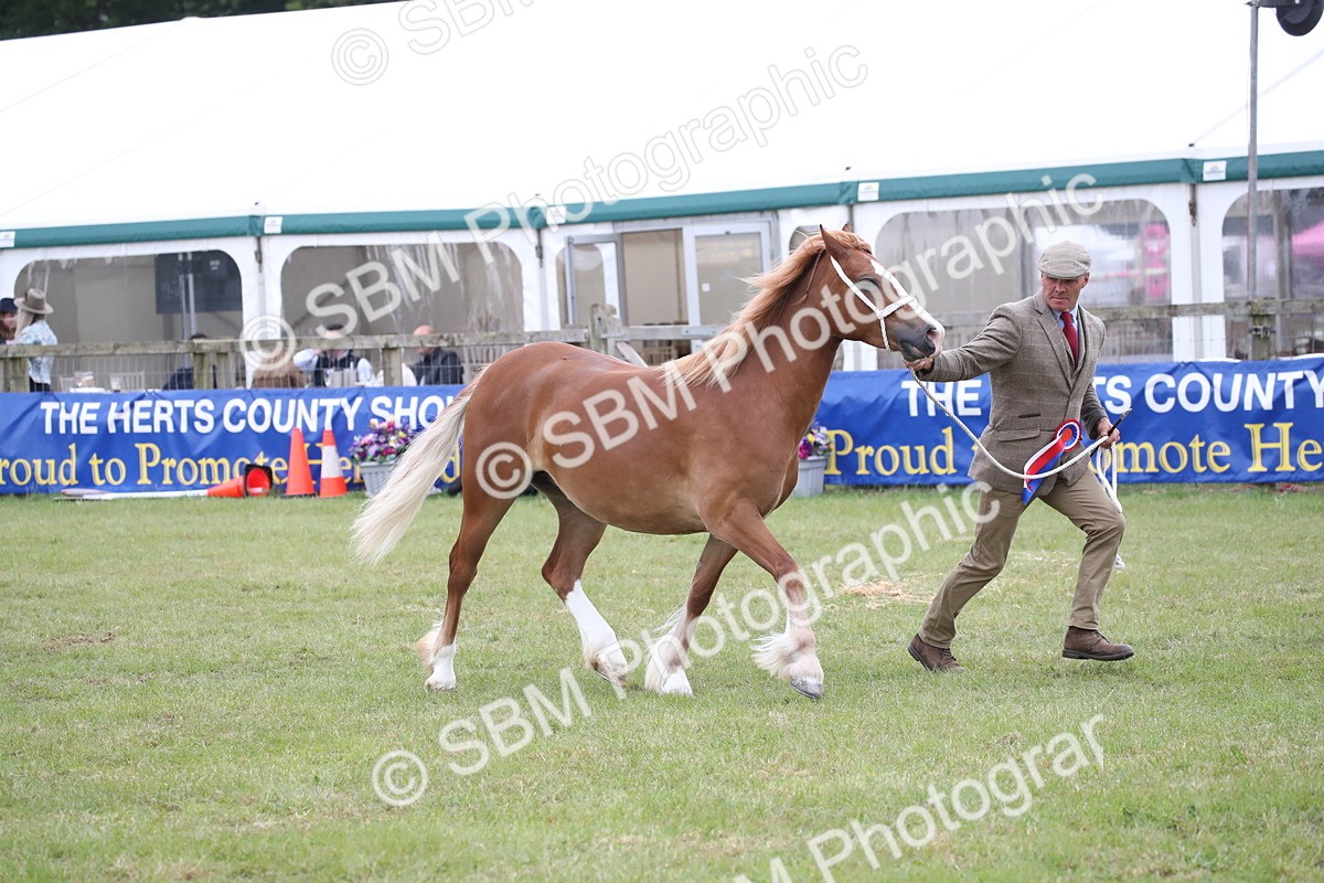 SBM_09818 - Ch 50 - Price Family Supreme In Hand