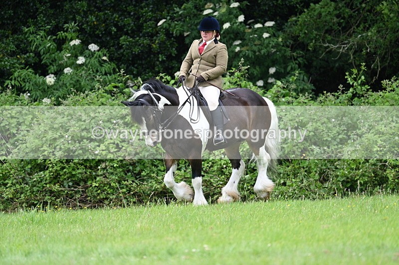 WJ7_2161 - Class 12A Coloured Class