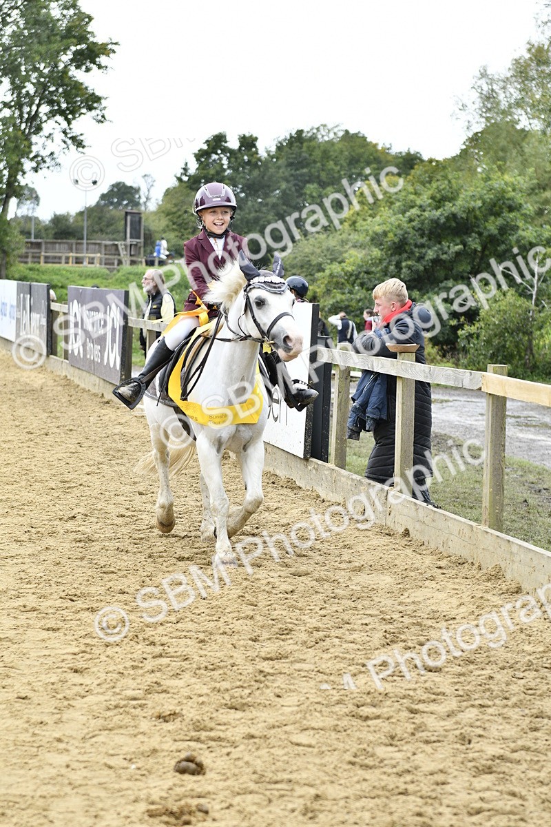 SBM_66230 - J2a mini Tour Junior Pony 30cm Championship