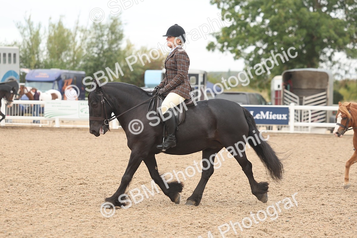 SBM_01902 - Class 14 - Ridden M&M Wildcard