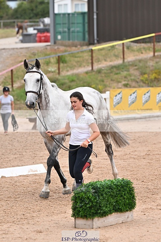 250716-143227-01182 - Trot Up 2.30 to 3.30