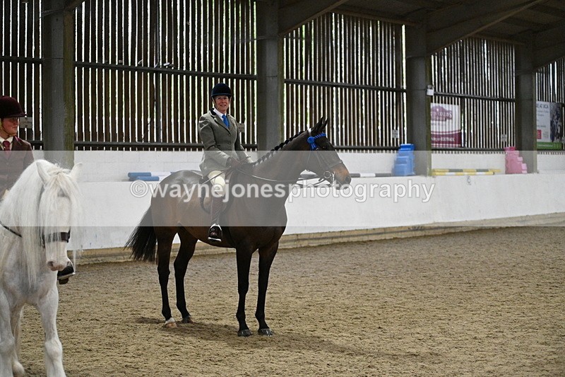 WJ7_4339 - Class 17 Ridden Cob