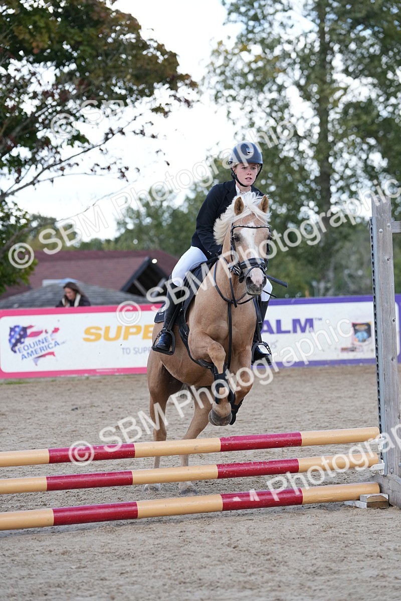 SBM_18080 - J58 - Clear Round 50cm