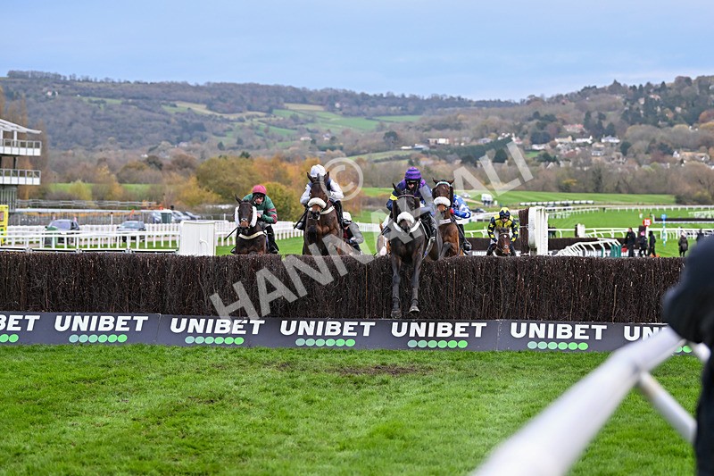 171124-Race 4-Abuffalosoldier-3554 - Race 4