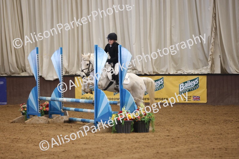 20260314-3256 - 80cm