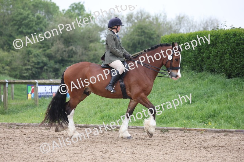 20260504-1068 - Class 14 - Cob and Hunter