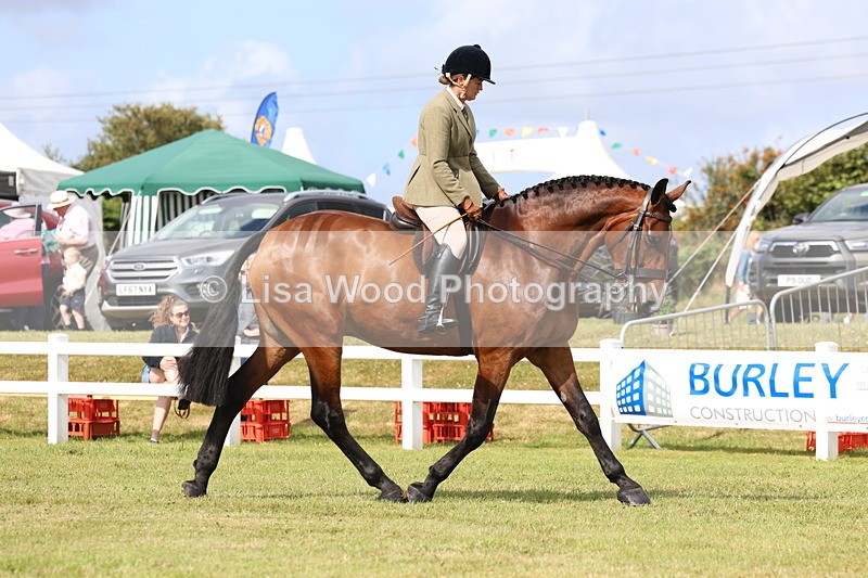 3E7A9271 - Class 4: Rising Star M/H Hunter