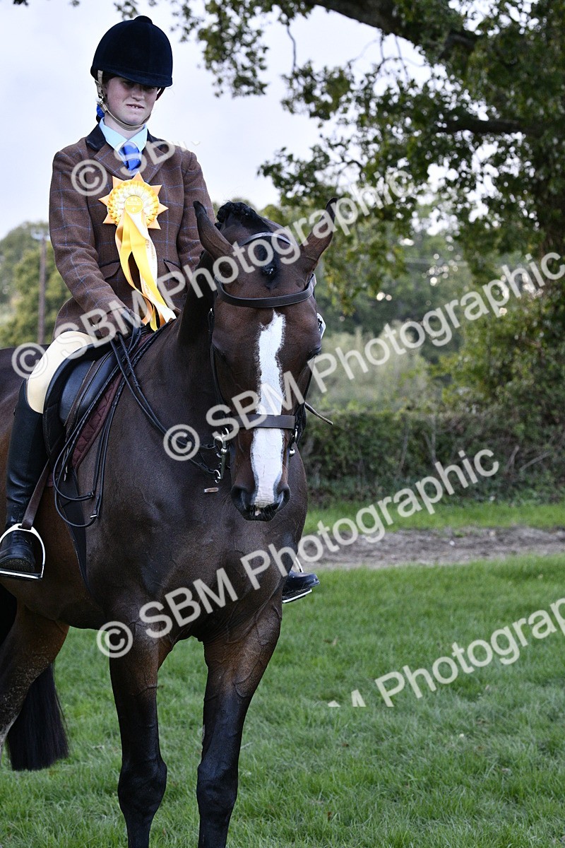 SBM_53616 - S14 - Riding Club Horse