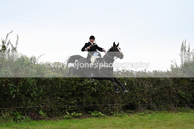 WJ7_4042 - Camera 1 Line 2