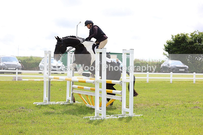 3E7A7666 - Class 13: Senior British Novice/90cm open
