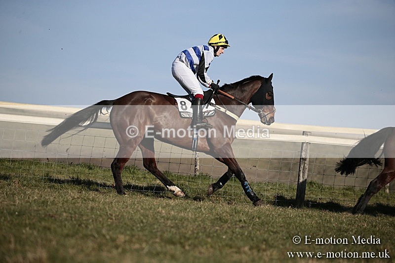PtP 240218 447 - Vine & Craven Hunt Point-to-Point Barbury racecourse 24/02/18