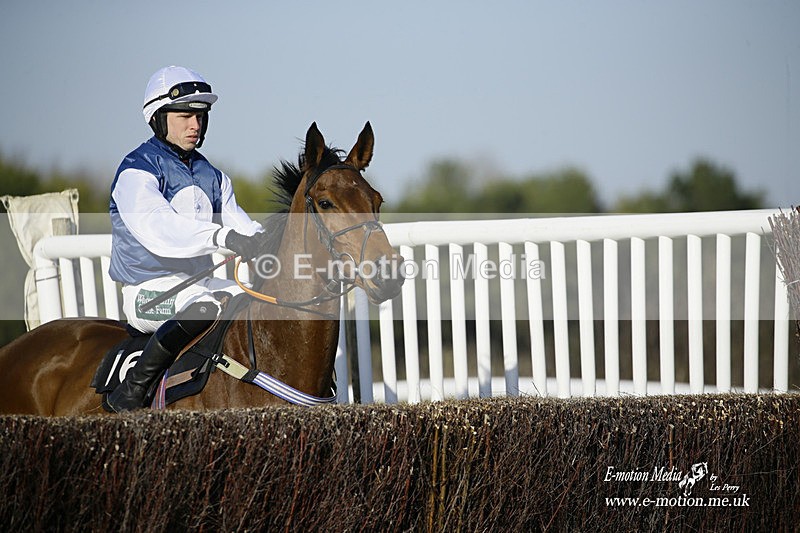 PtP 270222 305 - South & West Wilts Point-to-Point Larkhill 27/02/22