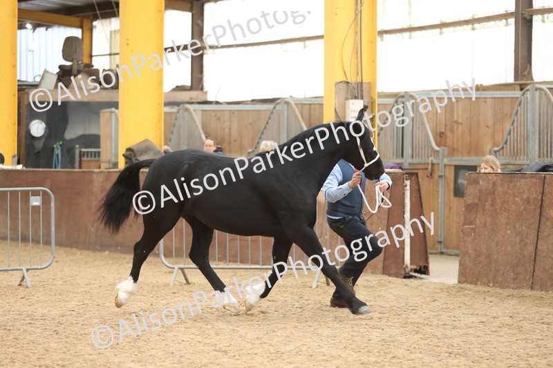 20251109-0915 - Class 26 - 2 and 4 Year Olds