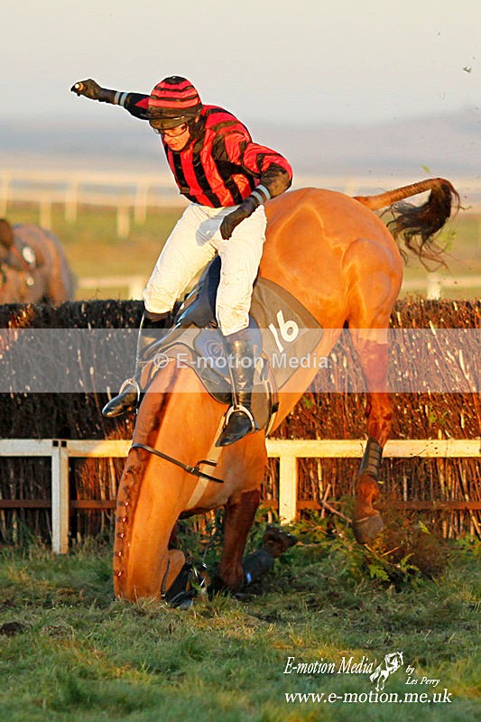 Eq 43 - Equestrian