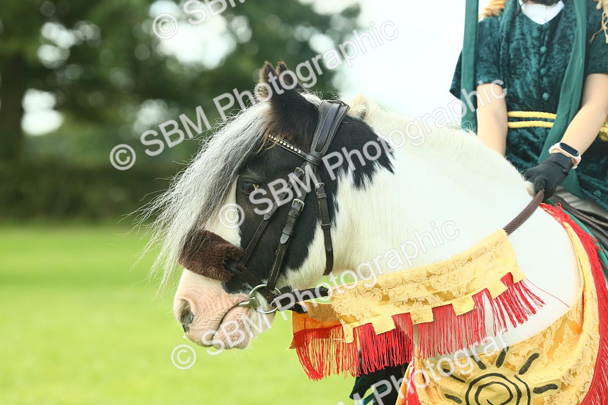 SBM_63590 - S35 - Fancy Dress Showing