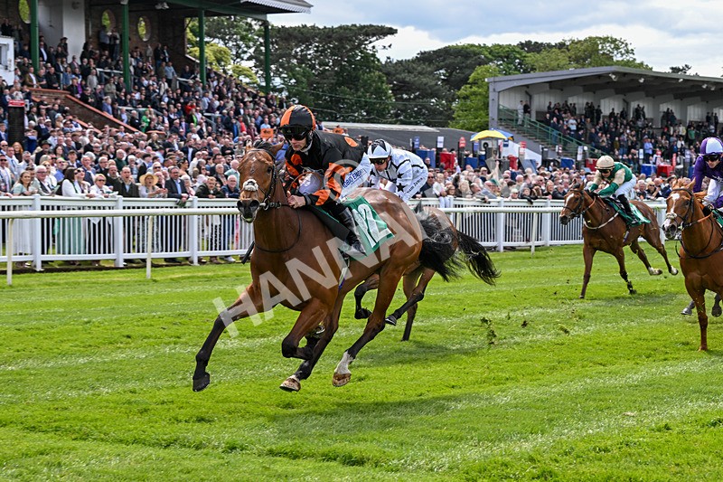 160526-Race 1-Dees Funny Girl-9220 - Race 1 1.52pm Marion Gibson Brown Memorial - Irish EBF Restricted Maiden Fillies' Stakes  (Div I)