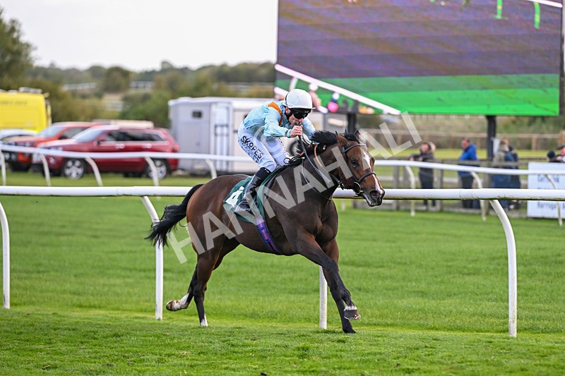 171026-Race 7-Lexington Blitz-6400 - Race 7 4.45pm William Hill Catterick Dash Handicap