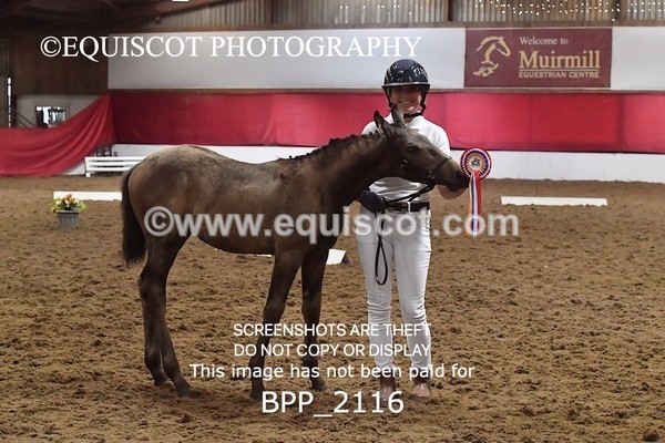 BPP_2116 - AFTERNOON 12.30 - 3.30PM