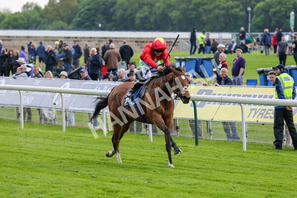 yr11052022r3-17 - Race 3 3.00pm 1895 Duke of York Clipper Logistics Stakes