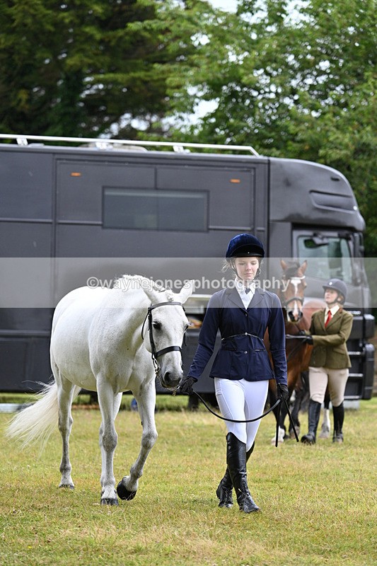 WJ7_6235 - Class 4a Prettiest Mare over 14hh