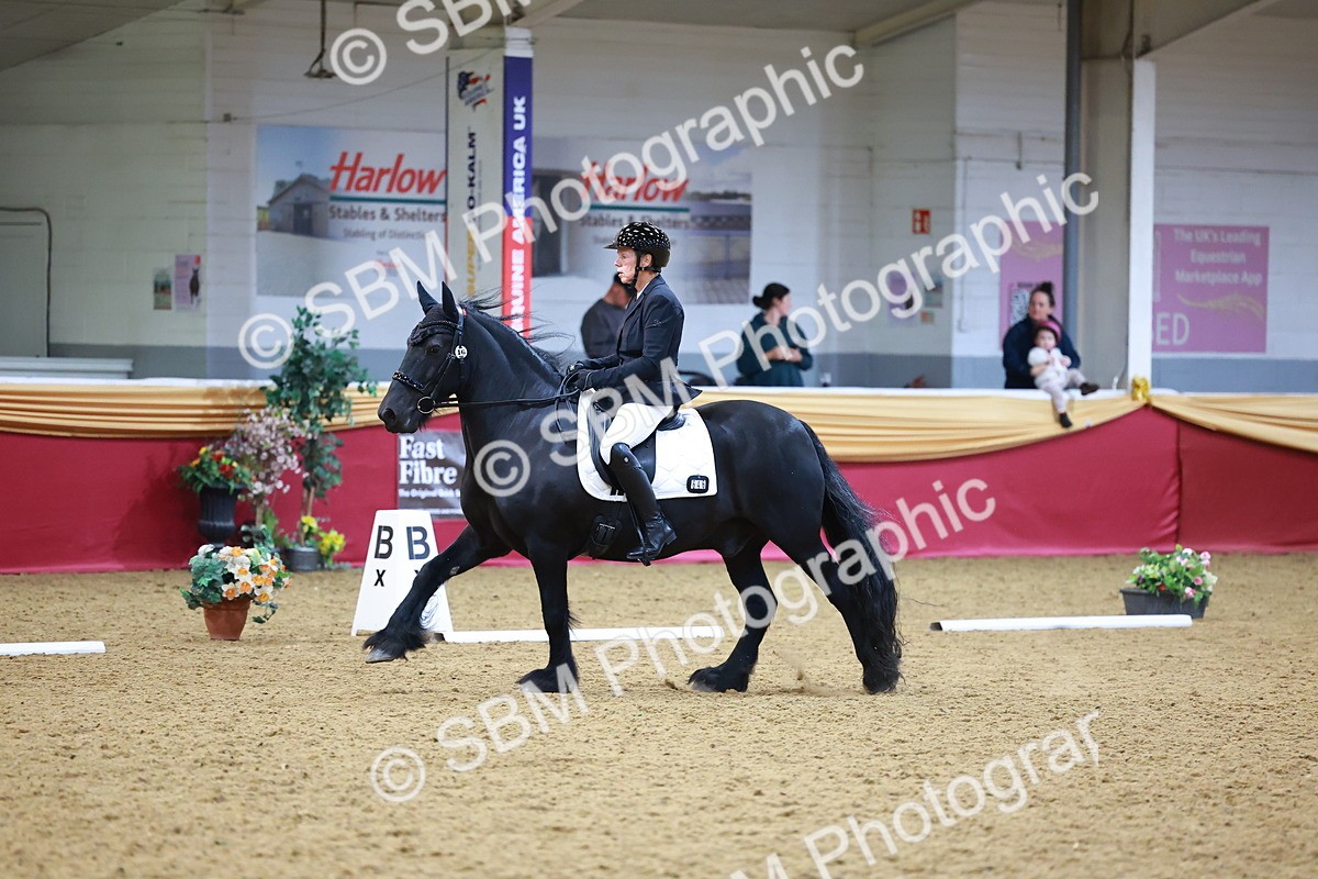 SBM_06593 - Class 61 - Dressage to Music
