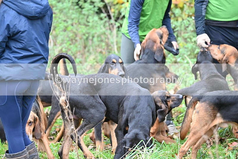 WJ6_8636 - Meet
