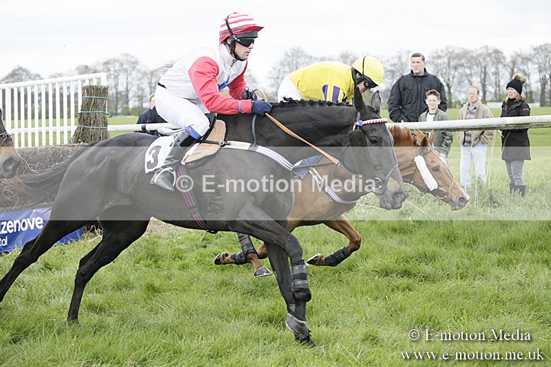 PtP 170417 36 - Old Berks Point-to-Point Lockinge 17/04/17
